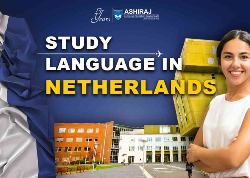 Study Language In Netherlands